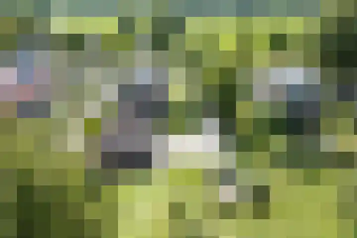 Den Hulst 156 Nieuwleusen thumbnail 36