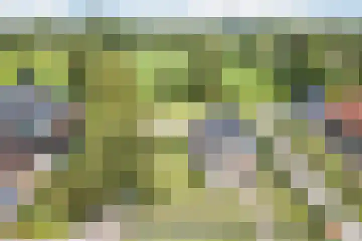 Den Hulst 156 Nieuwleusen thumbnail 37