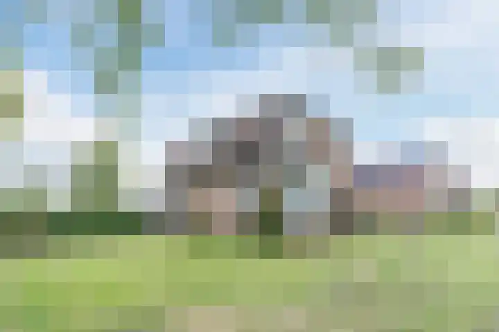 Den Hulst 156 Nieuwleusen thumbnail 50