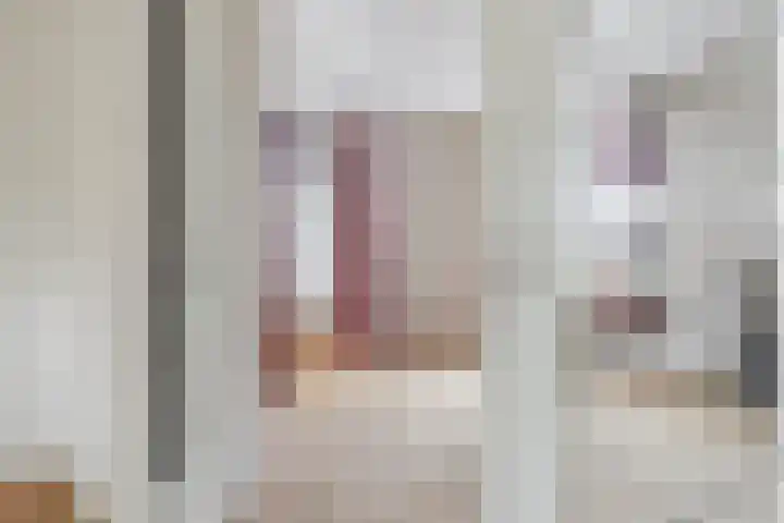 Den Hulst 156 Nieuwleusen thumbnail 9