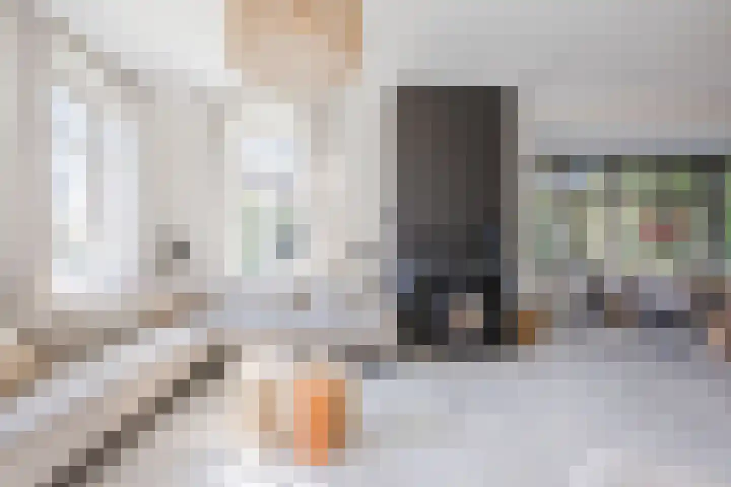 Den Hulst 88 Nieuwleusen thumbnail 10