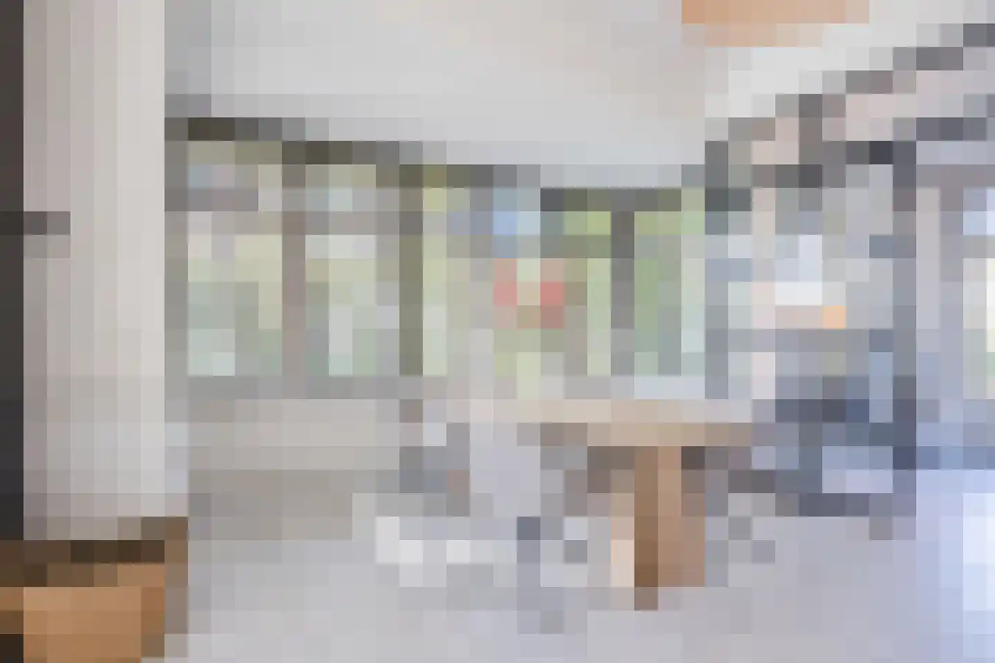 Den Hulst 88 Nieuwleusen thumbnail 13