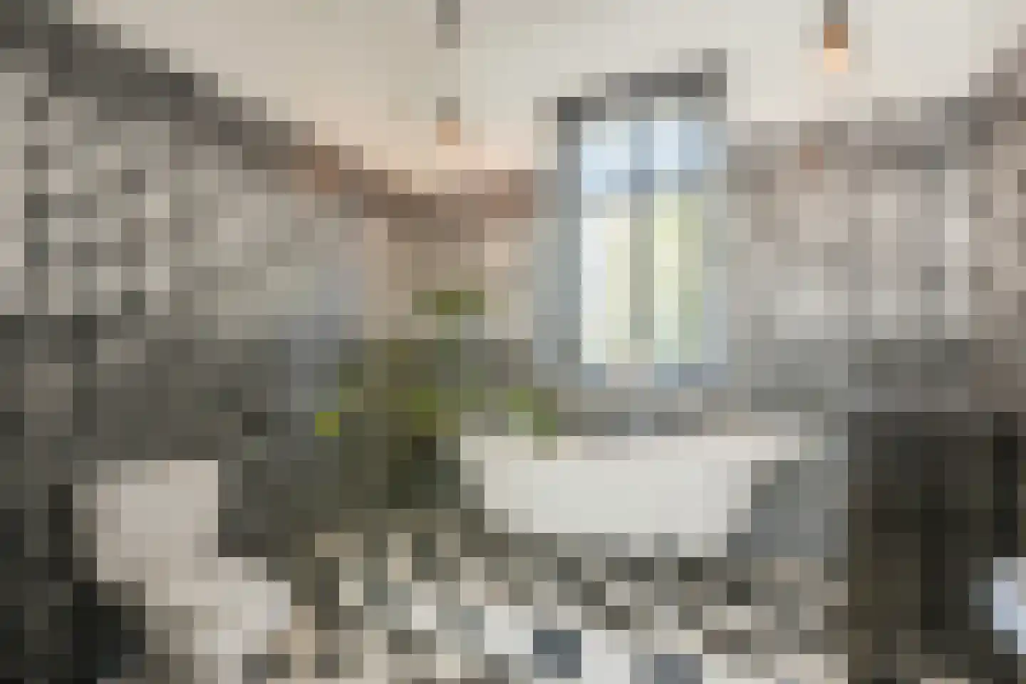 Den Hulst 88 Nieuwleusen thumbnail 28