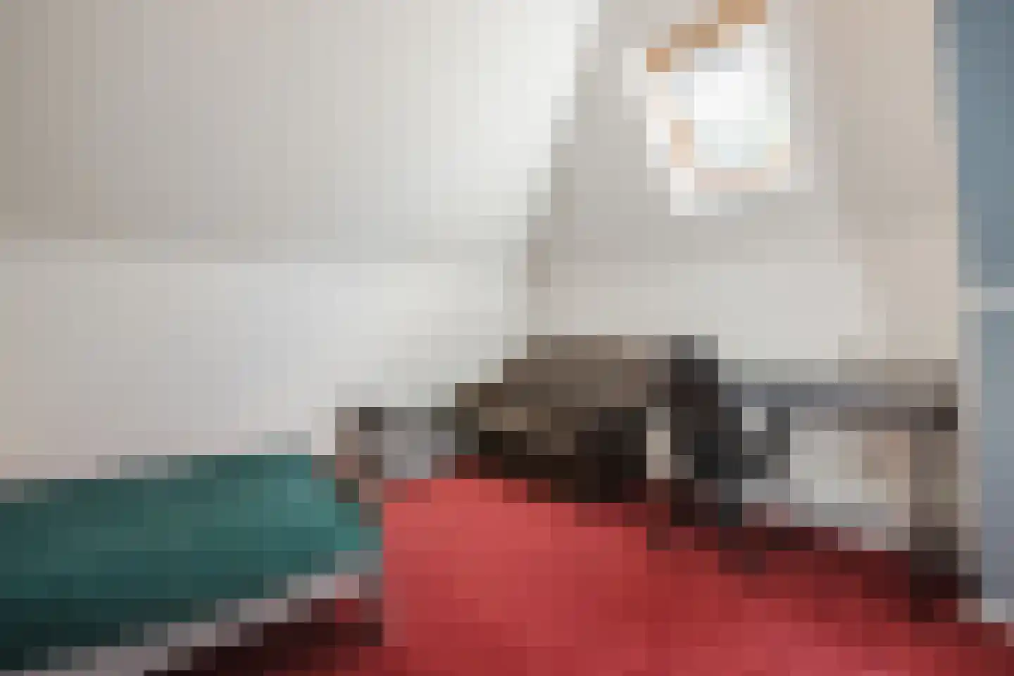 Den Hulst 88 Nieuwleusen thumbnail 35