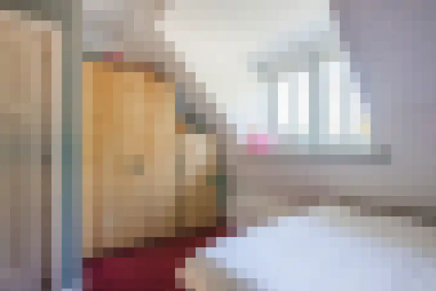 Den Hulst 88 Nieuwleusen thumbnail 41