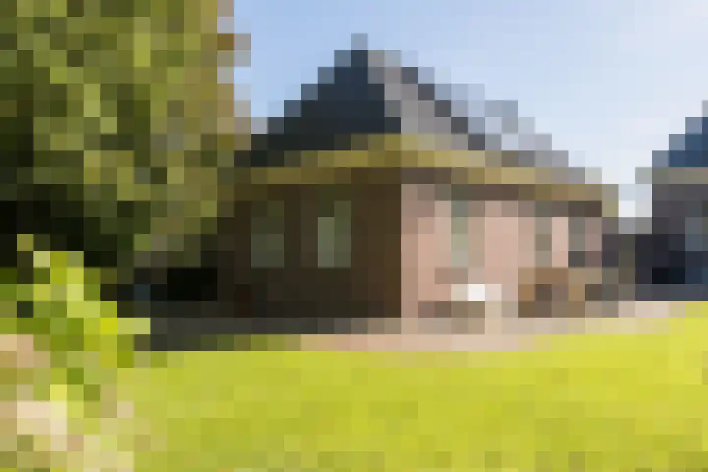 Den Hulst 88 Nieuwleusen thumbnail 47
