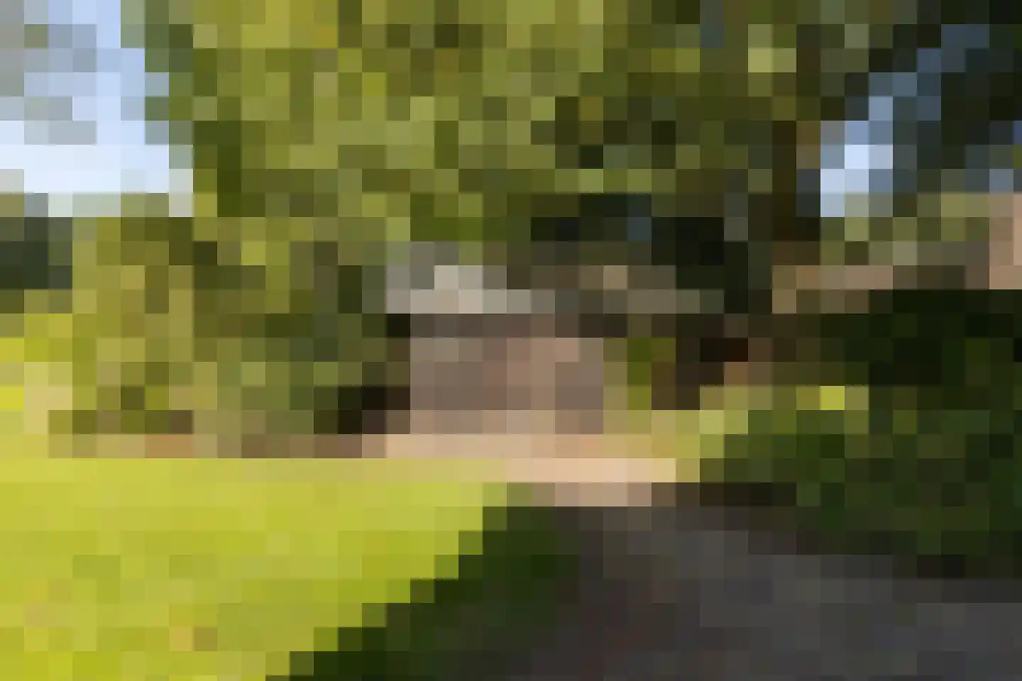 Den Hulst 88 Nieuwleusen thumbnail 51