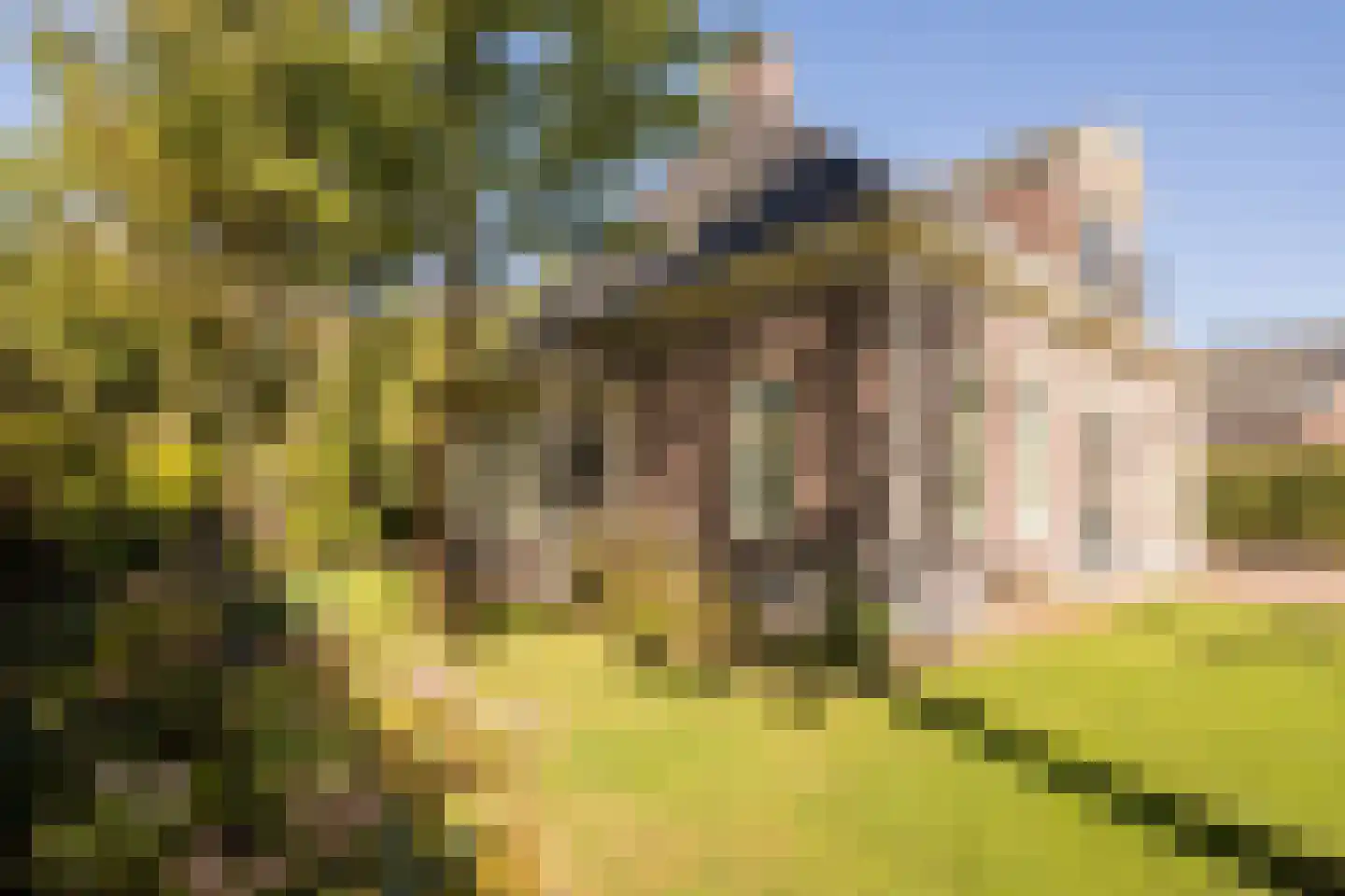 Den Hulst 88 Nieuwleusen thumbnail 53