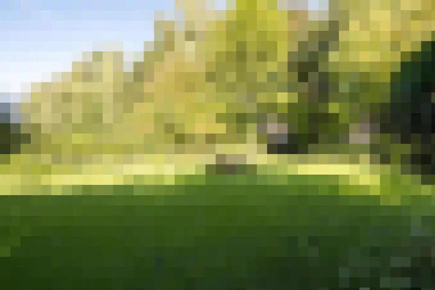 Den Hulst 88 Nieuwleusen thumbnail 57