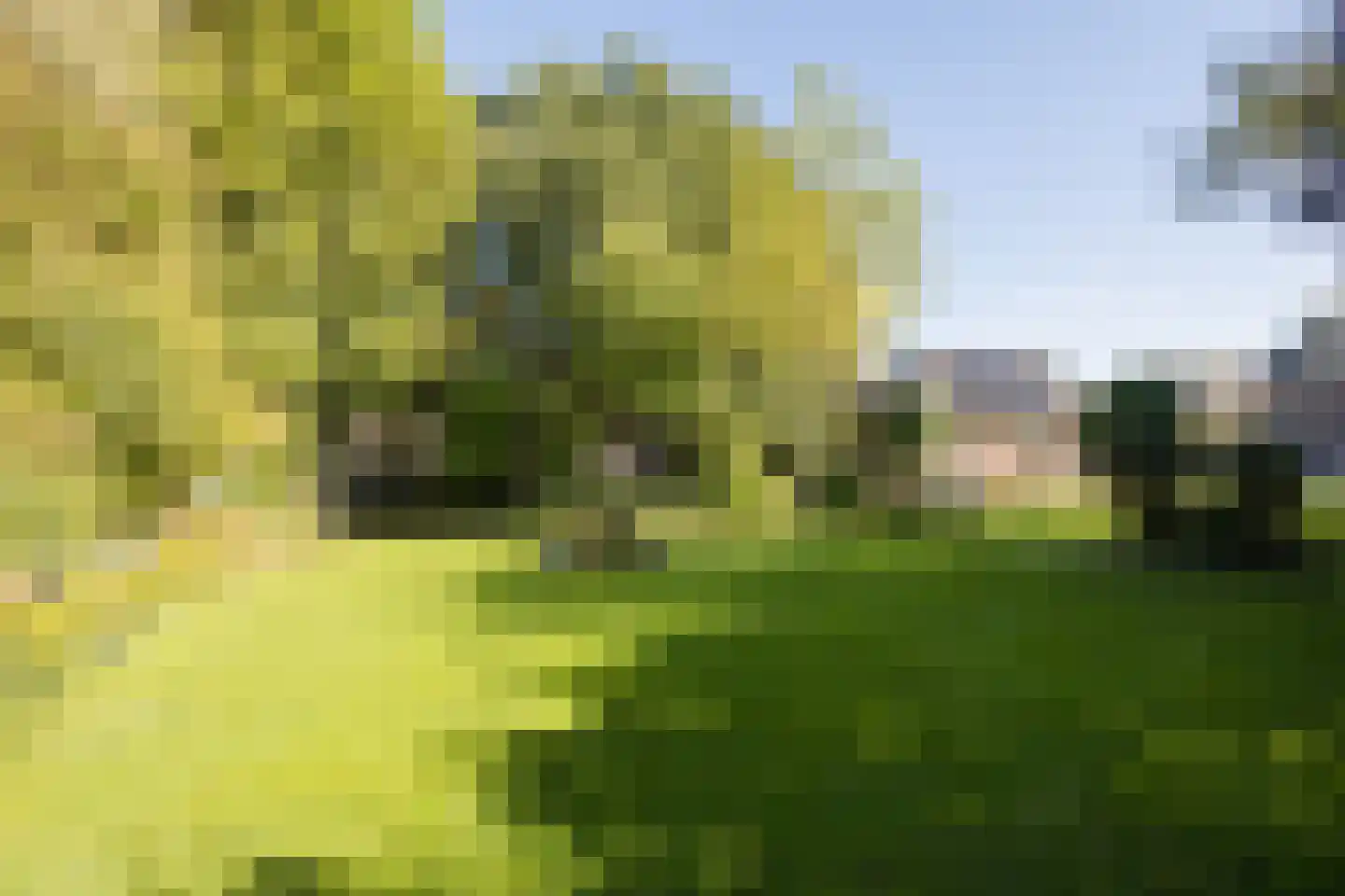 Den Hulst 88 Nieuwleusen thumbnail 58