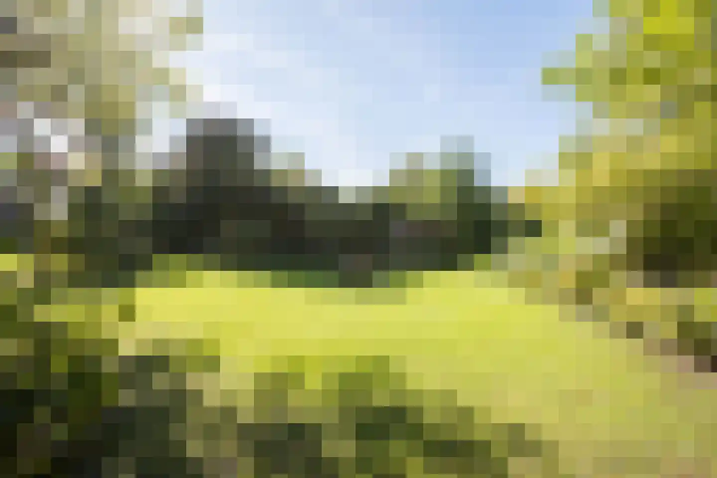 Den Hulst 88 Nieuwleusen thumbnail 59
