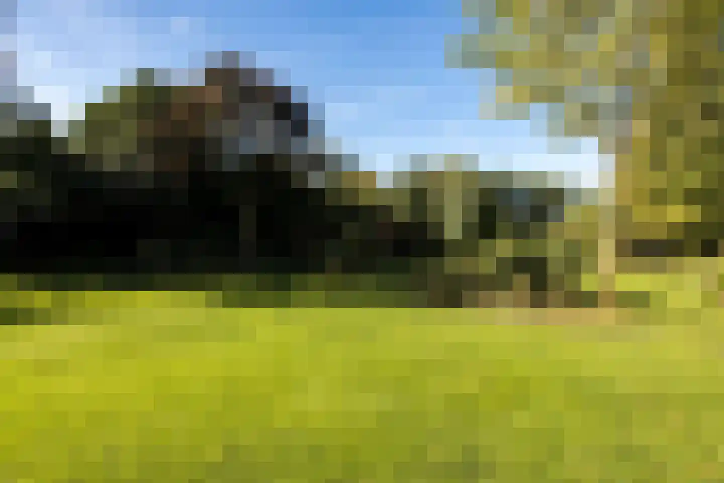 Den Hulst 88 Nieuwleusen thumbnail 61