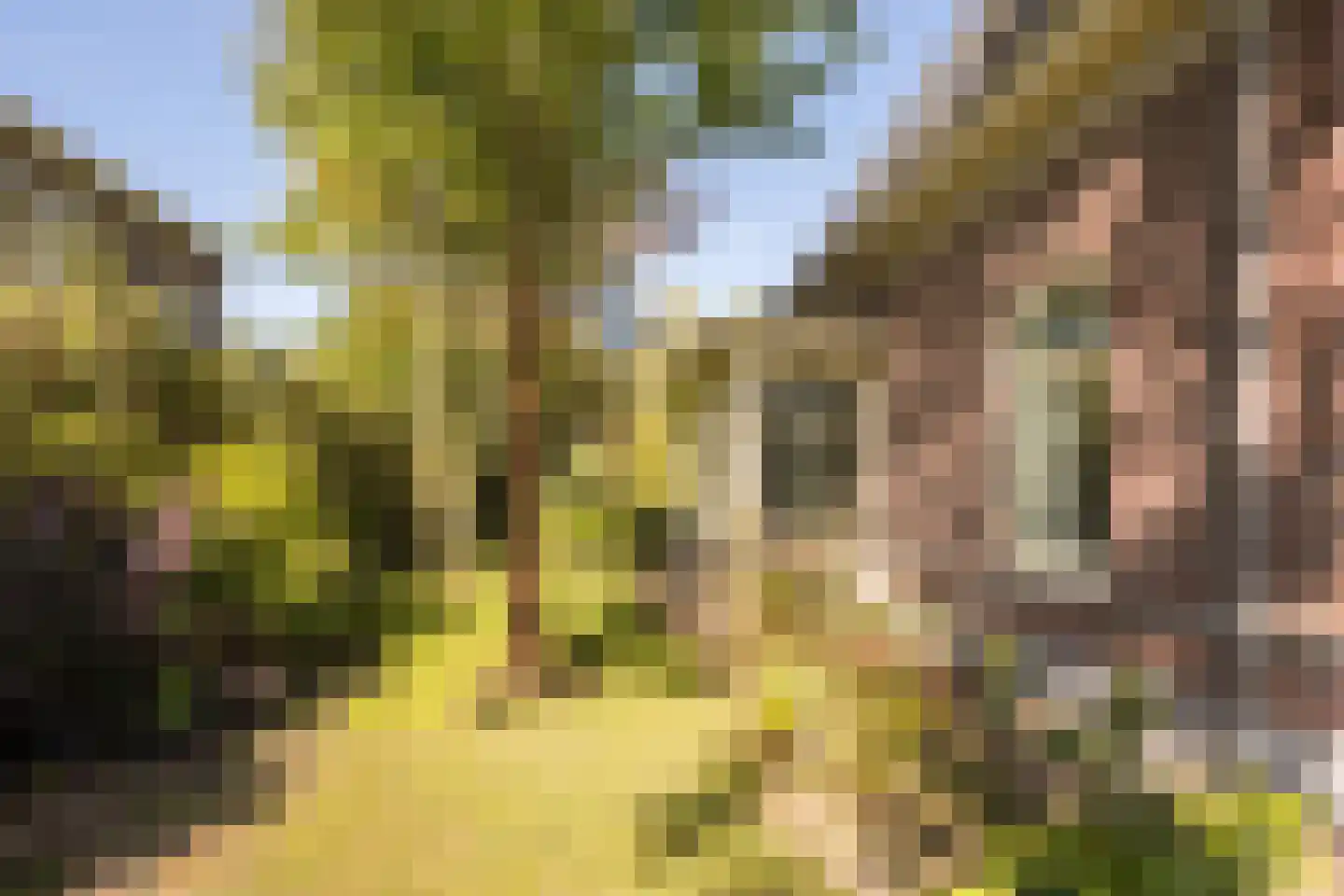 Den Hulst 88 Nieuwleusen thumbnail 62