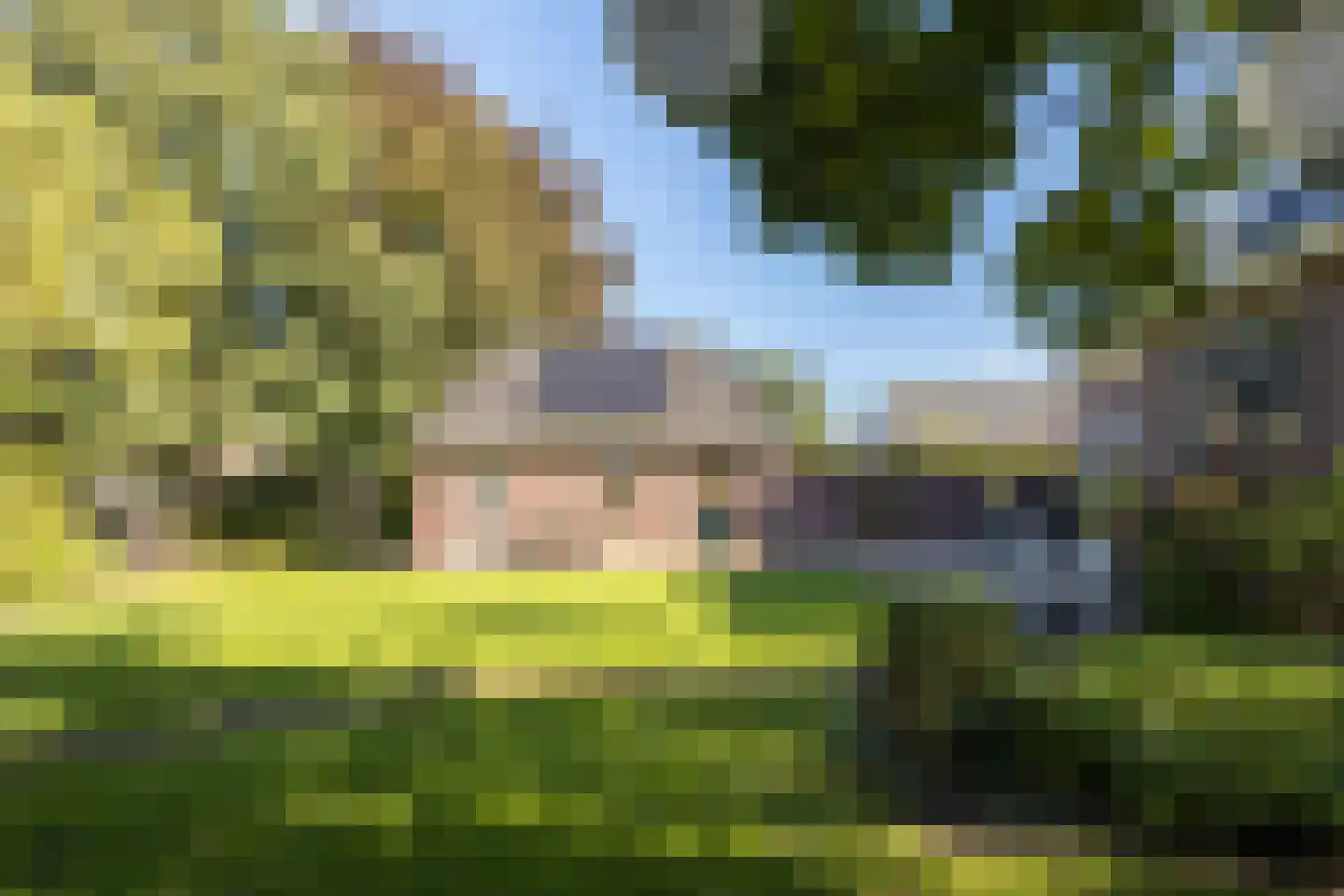 Den Hulst 88 Nieuwleusen thumbnail 63