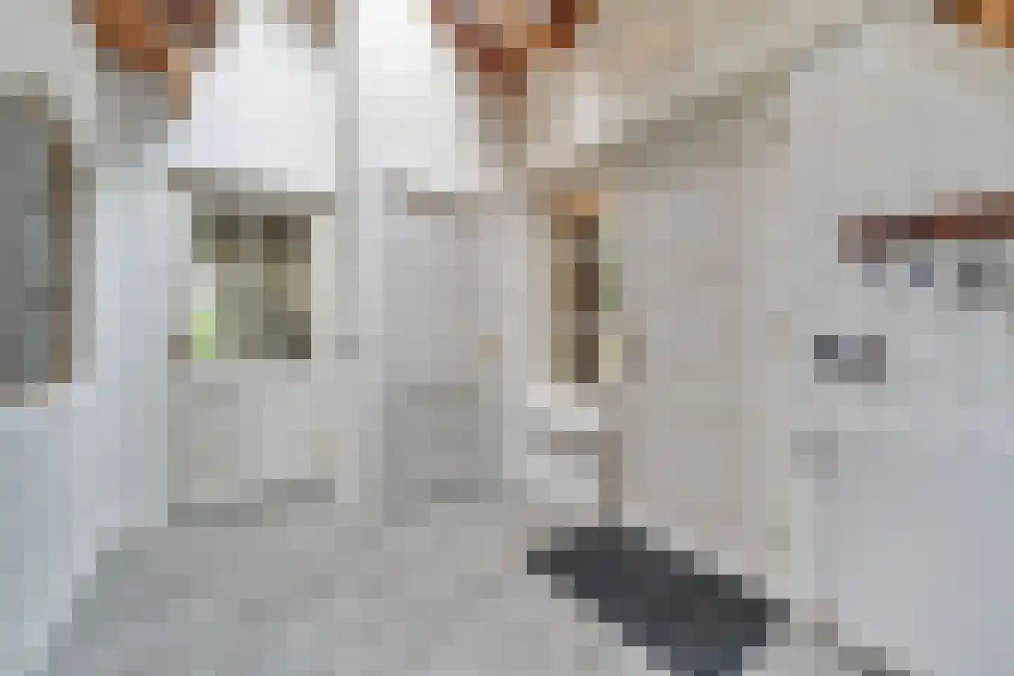 Den Hulst 93 Nieuwleusen thumbnail 10