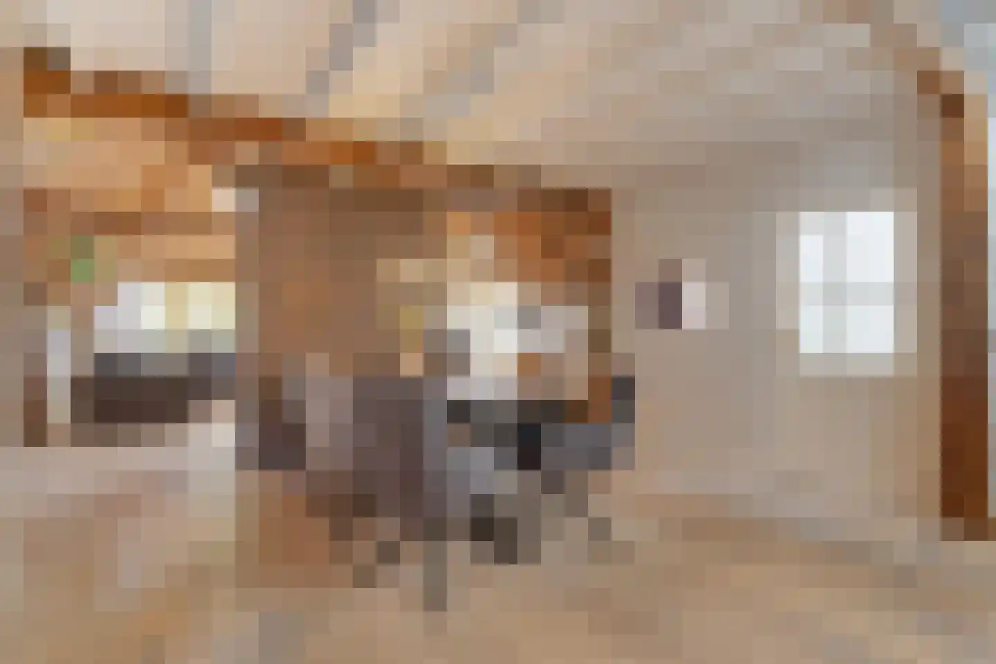 Den Hulst 93 Nieuwleusen thumbnail 13