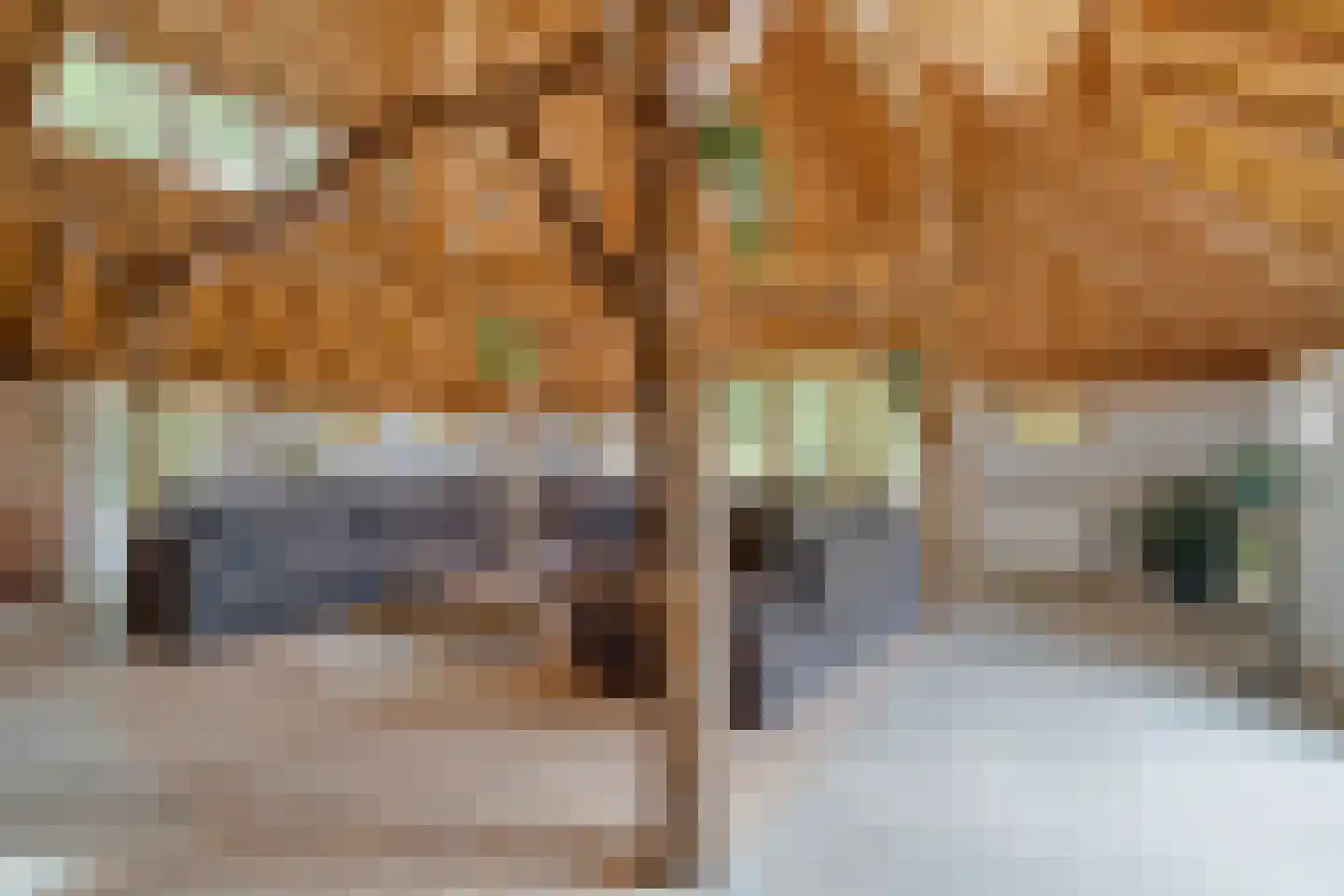 Den Hulst 93 Nieuwleusen thumbnail 14