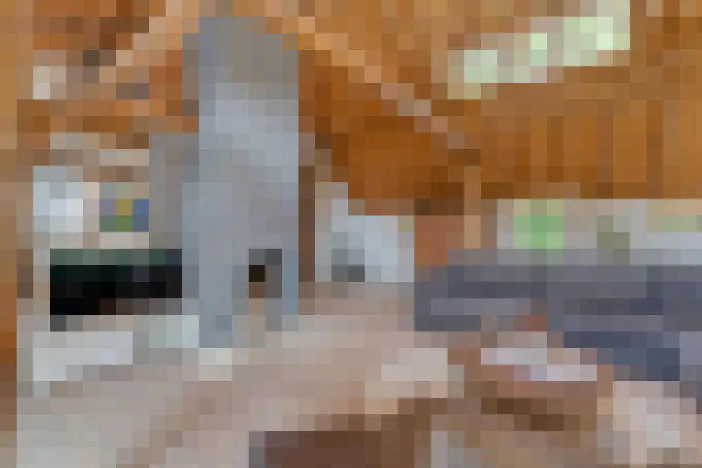 Den Hulst 93 Nieuwleusen thumbnail 15