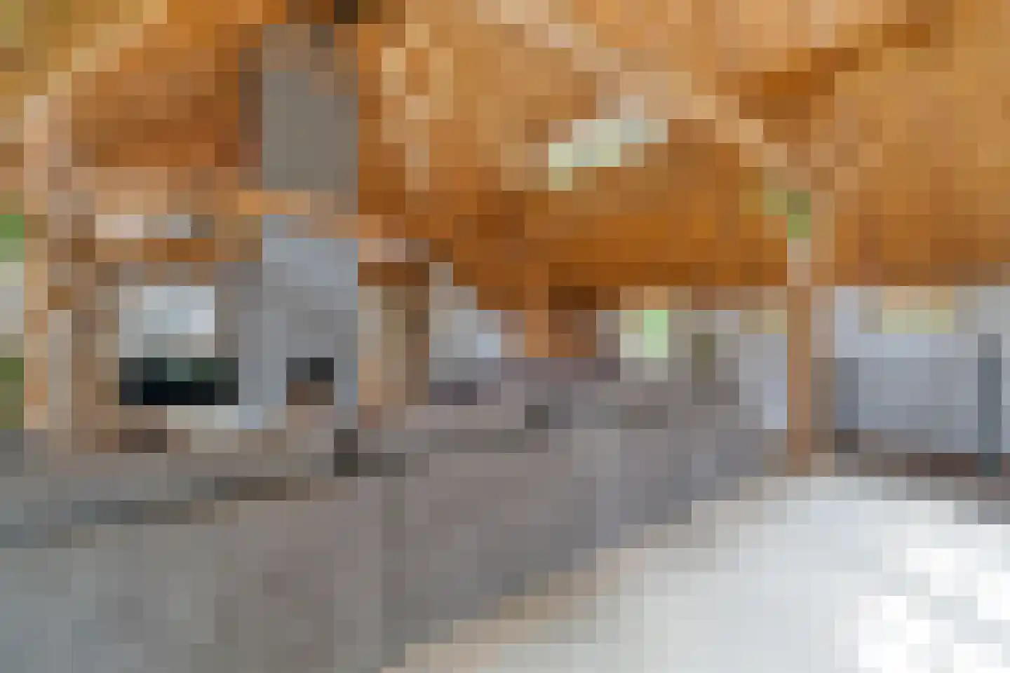 Den Hulst 93 Nieuwleusen thumbnail 16