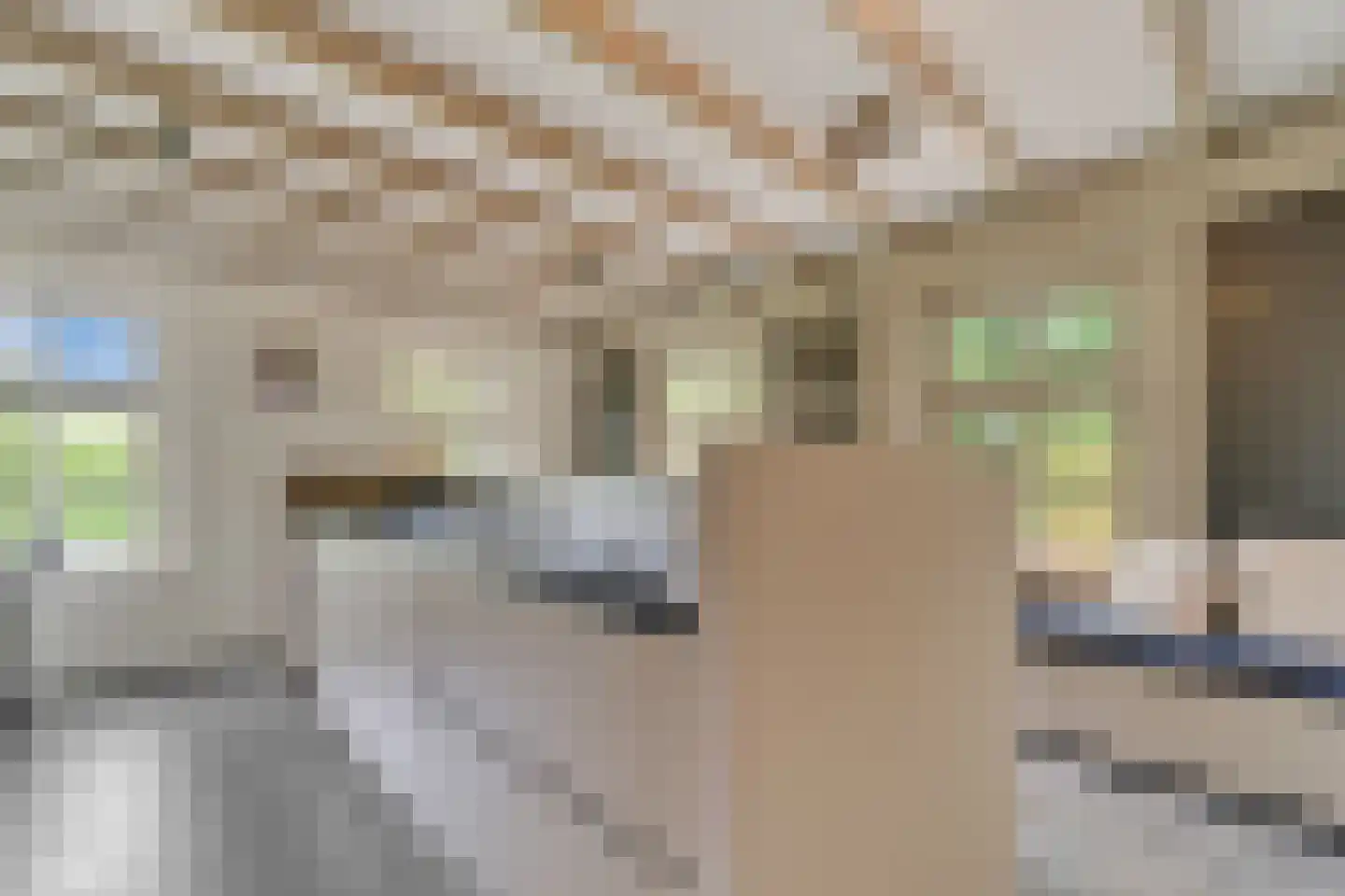 Den Hulst 93 Nieuwleusen thumbnail 19