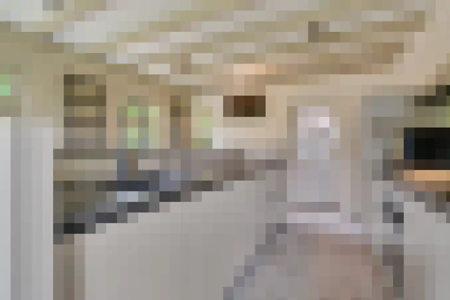 Den Hulst 93 Nieuwleusen thumbnail 20