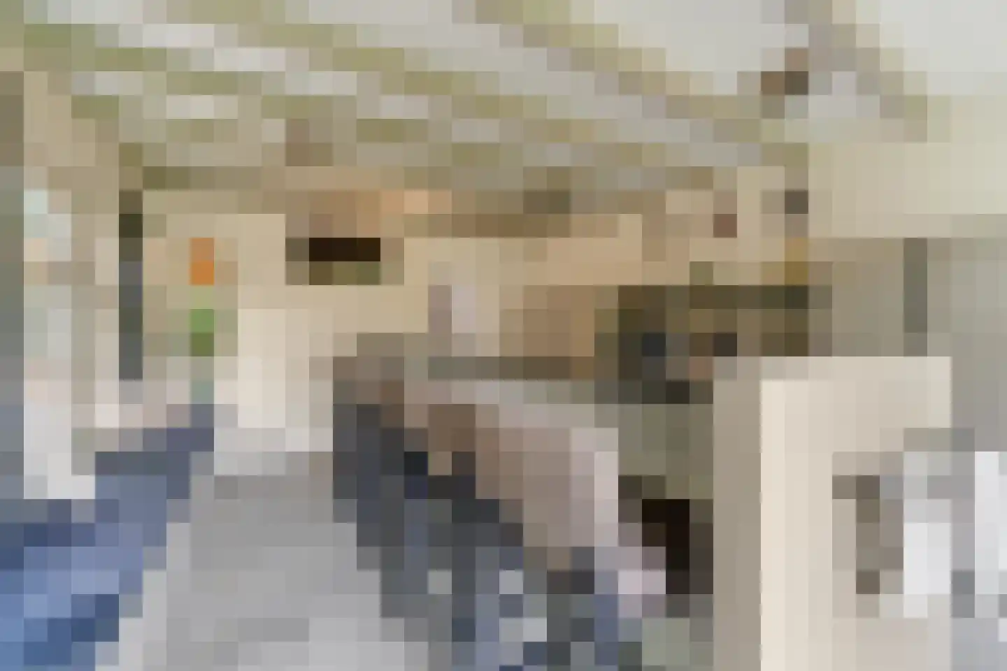 Den Hulst 93 Nieuwleusen thumbnail 21