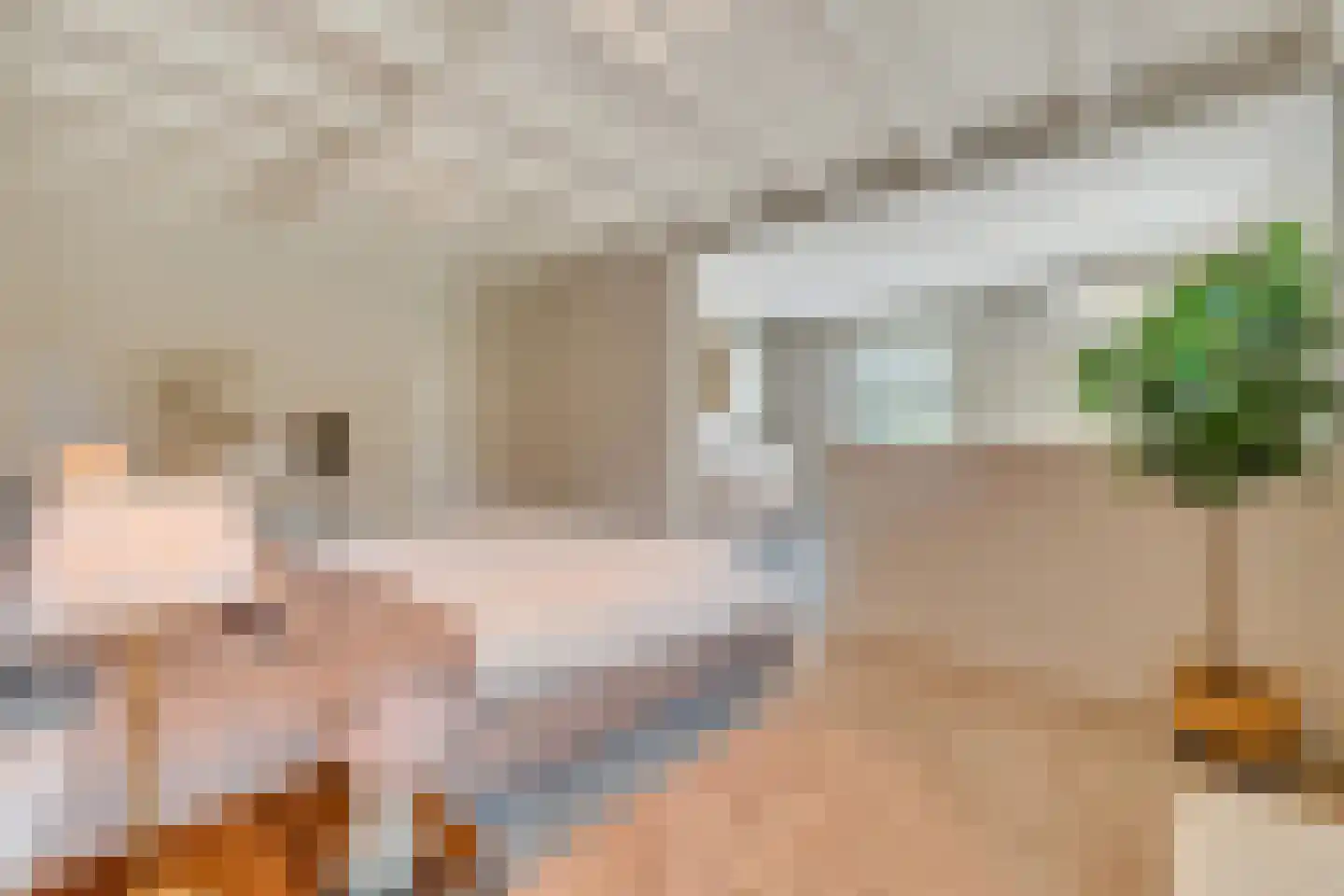 Den Hulst 93 Nieuwleusen thumbnail 25