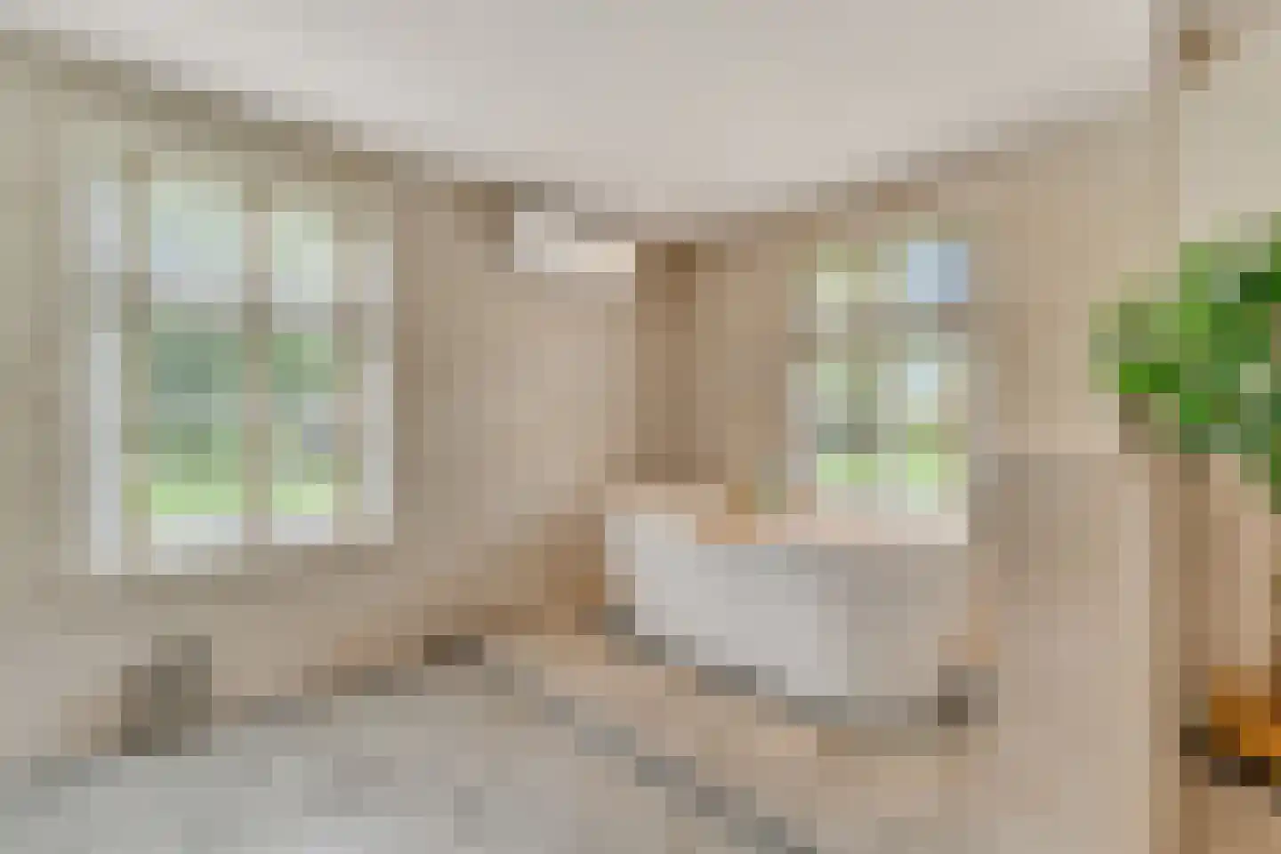 Den Hulst 93 Nieuwleusen thumbnail 30