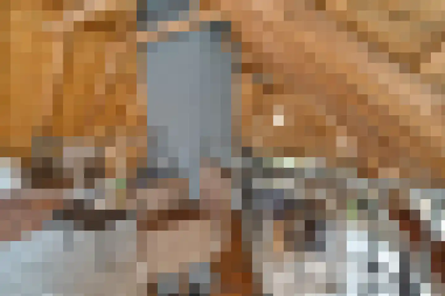 Den Hulst 93 Nieuwleusen thumbnail 35