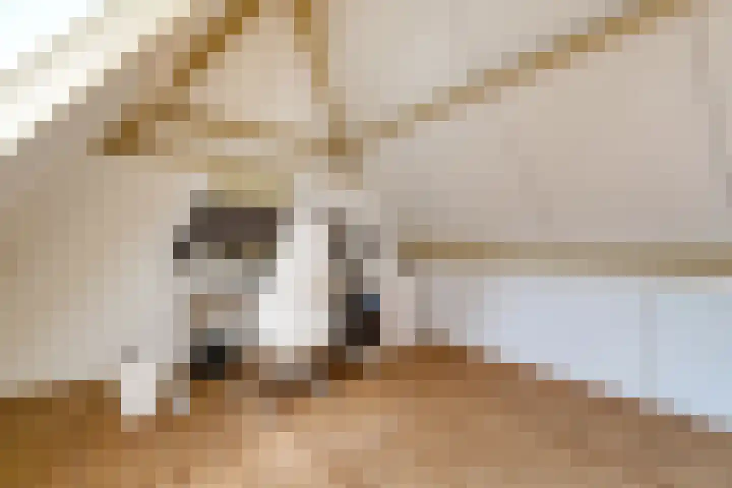 Den Hulst 93 Nieuwleusen thumbnail 41