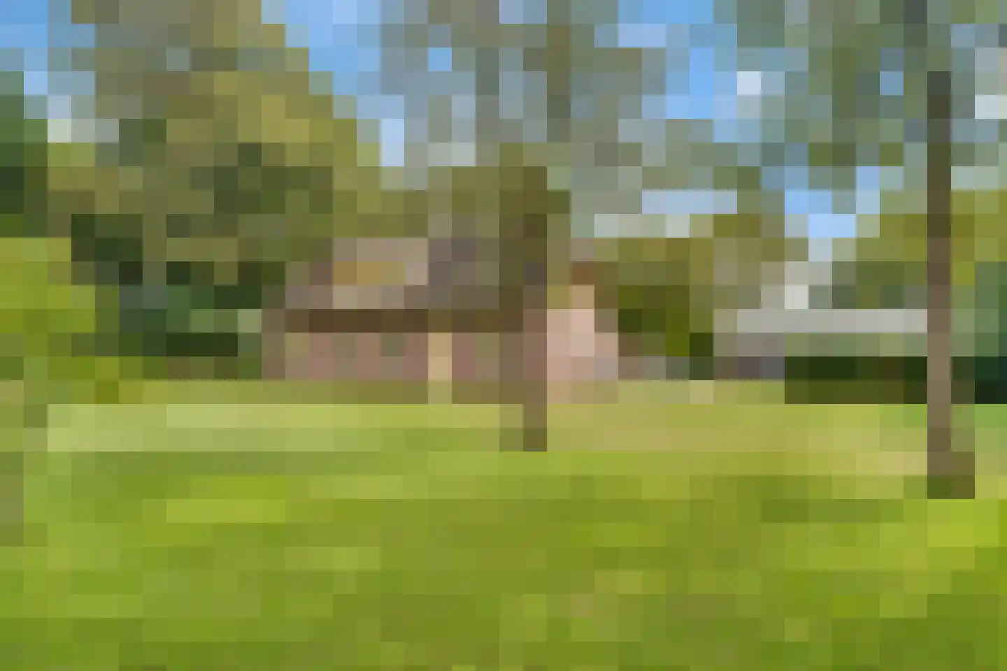 Den Hulst 93 Nieuwleusen thumbnail 42