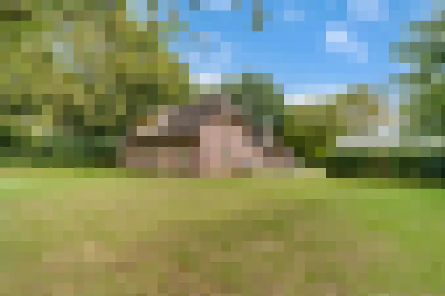 Den Hulst 93 Nieuwleusen thumbnail 43
