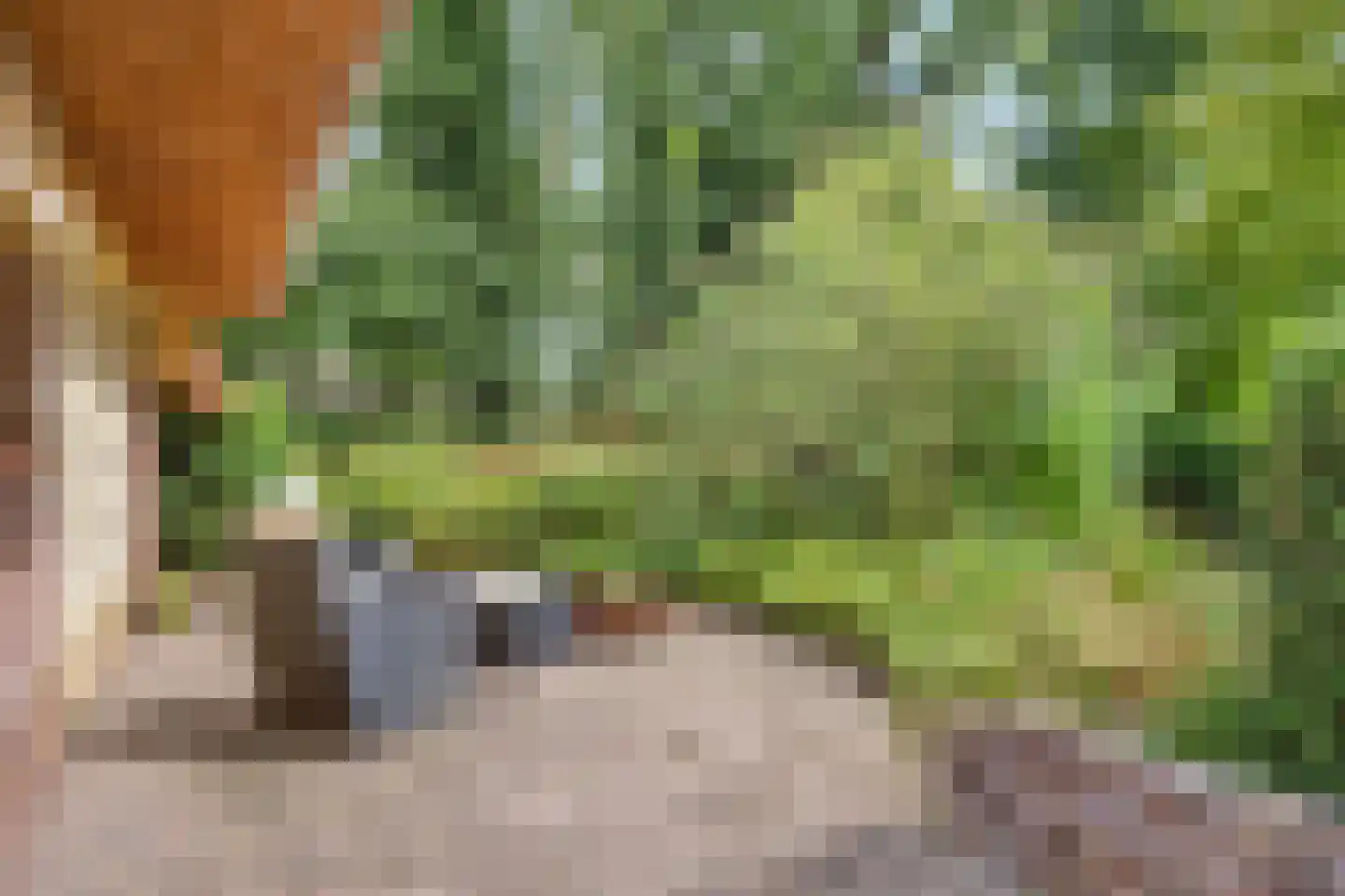 Den Hulst 93 Nieuwleusen thumbnail 44