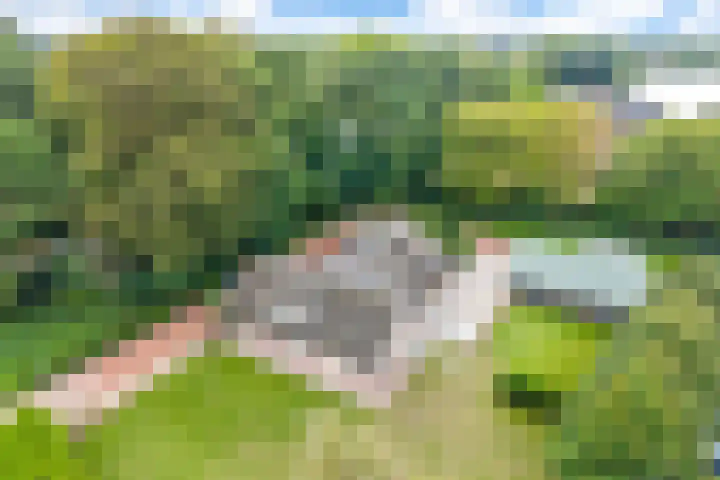 Den Hulst 93 Nieuwleusen thumbnail 47