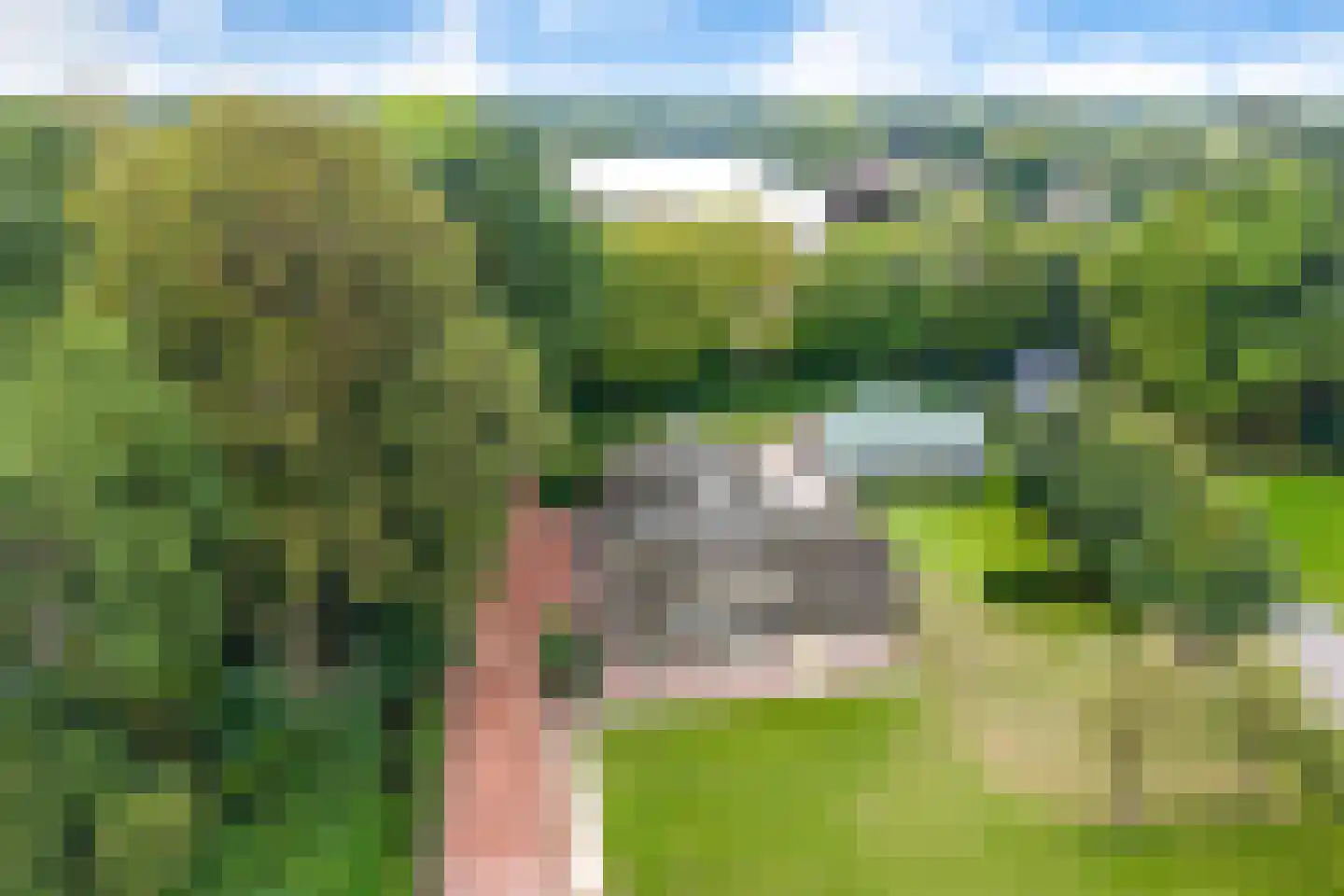 Den Hulst 93 Nieuwleusen thumbnail 48