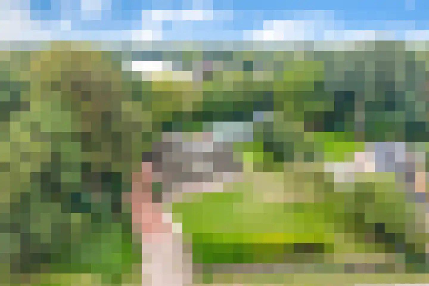 Den Hulst 93 Nieuwleusen thumbnail 50