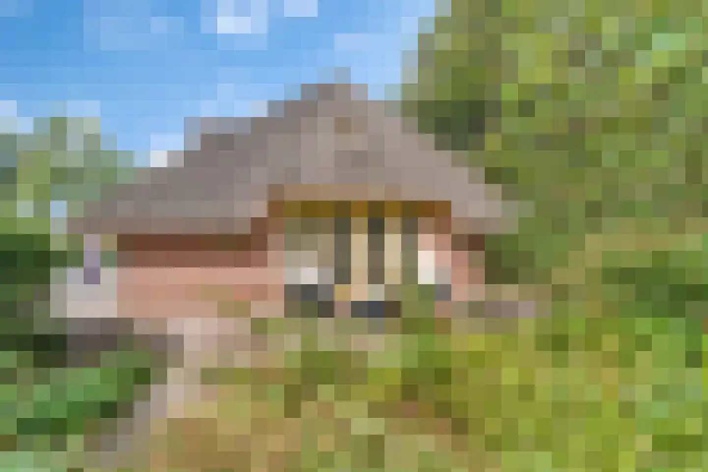 Den Hulst 93 Nieuwleusen thumbnail 7
