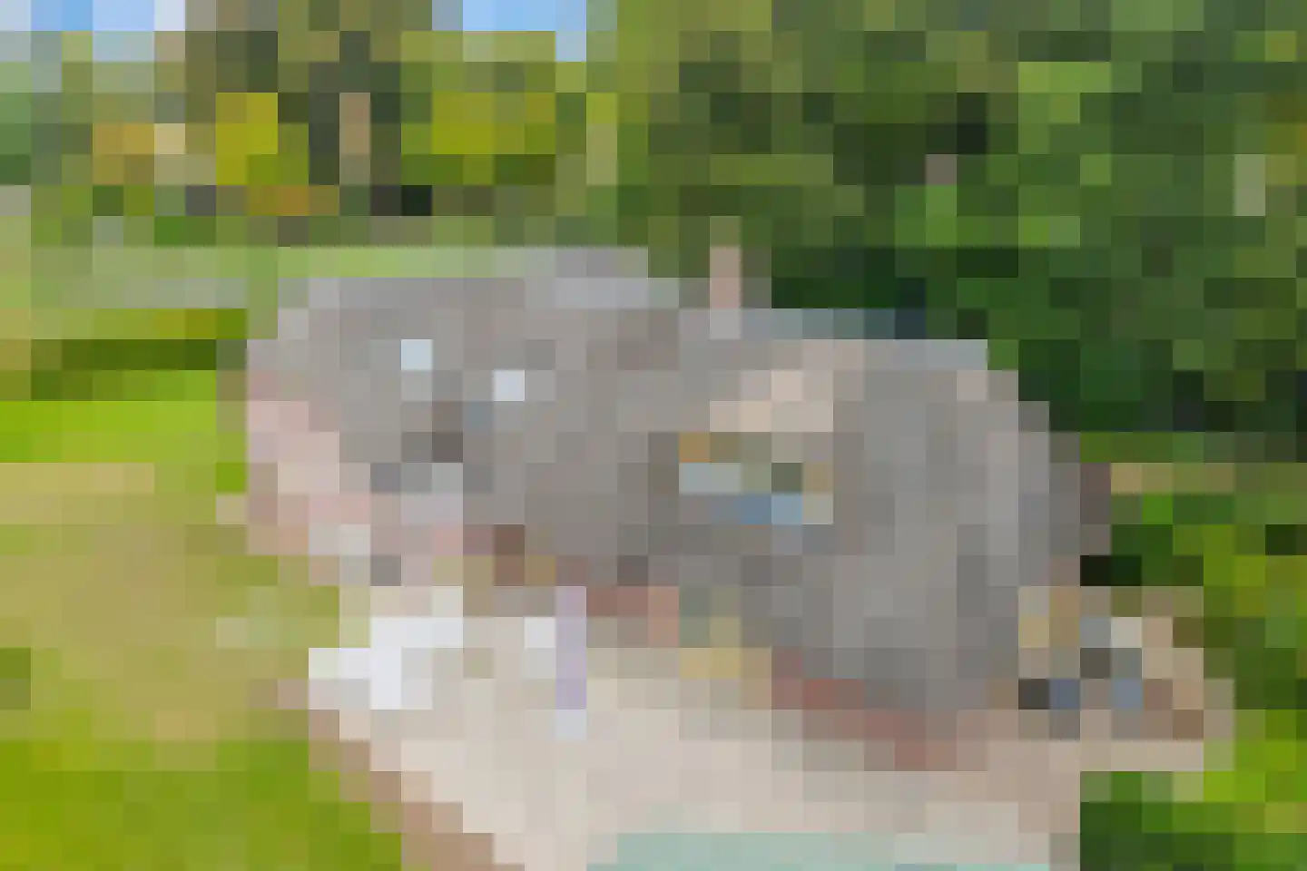 Den Hulst 93 Nieuwleusen thumbnail 8