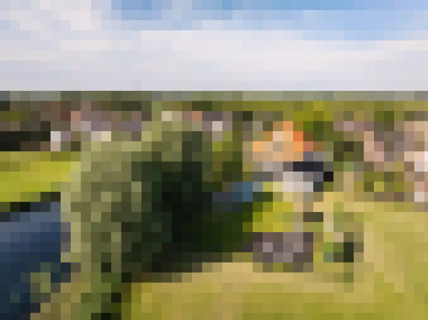 Den Ilp 1 Den Ilp thumbnail 10