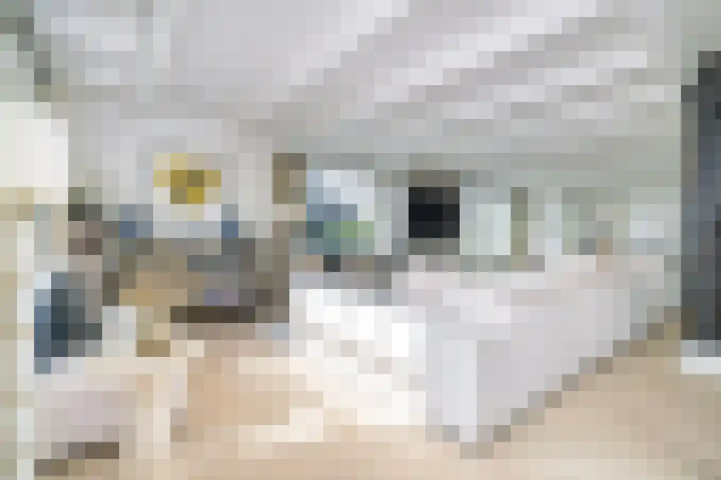 Den Ilp 1 Den Ilp thumbnail 19