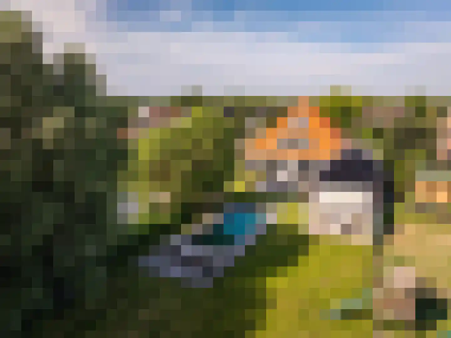 Den Ilp 1 Den Ilp foto 2