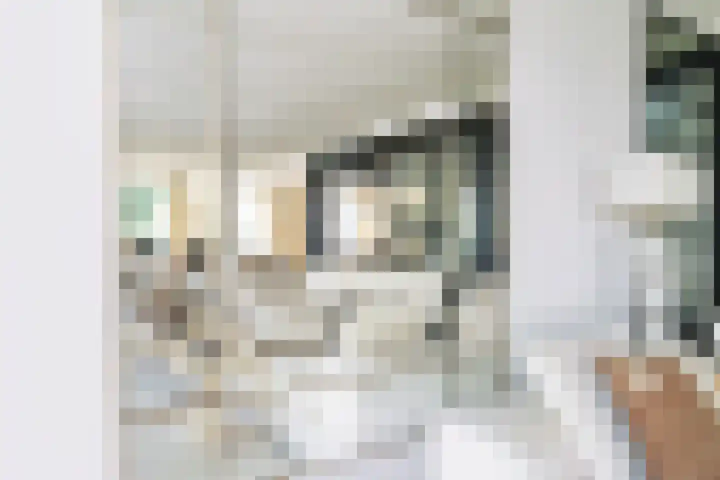Den Ilp 1 Den Ilp thumbnail 22