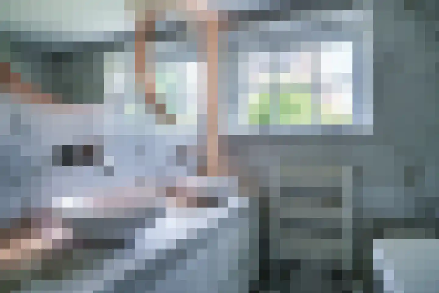 Den Ilp 1 Den Ilp thumbnail 34