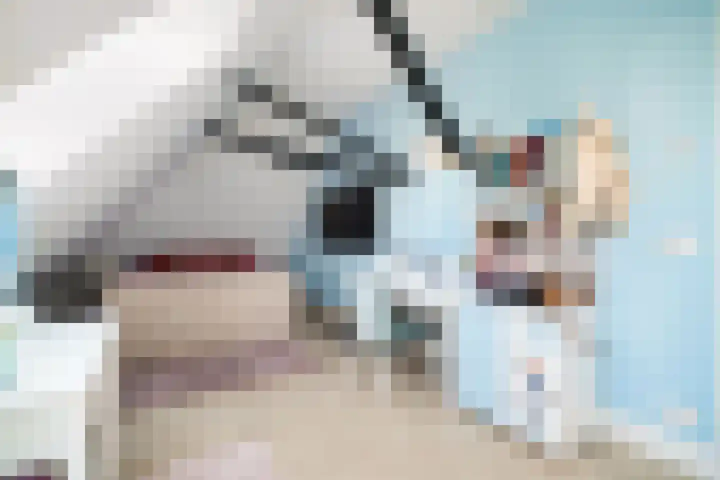 Den Ilp 1 Den Ilp thumbnail 61