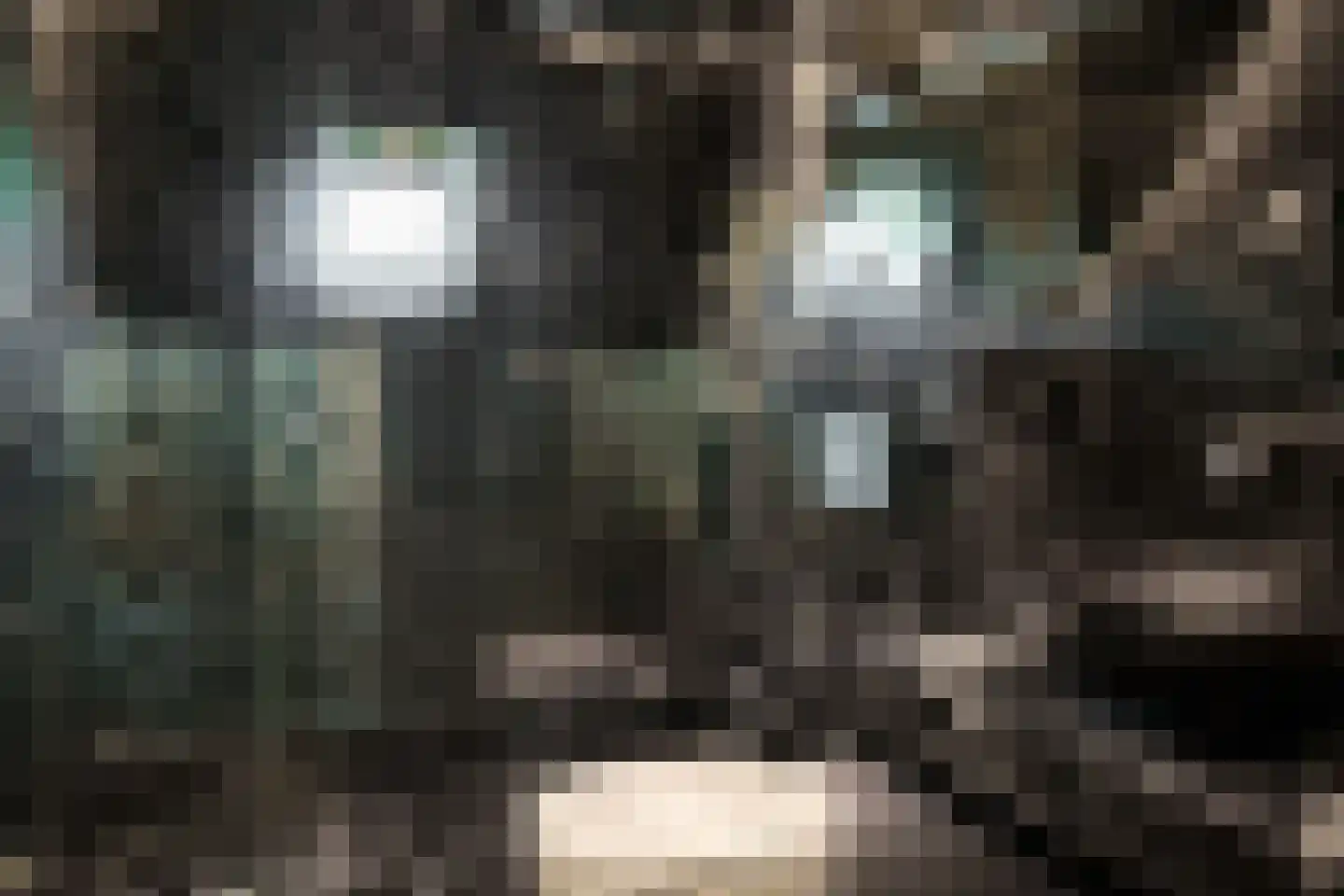 Den Ilp 1 Den Ilp thumbnail 64
