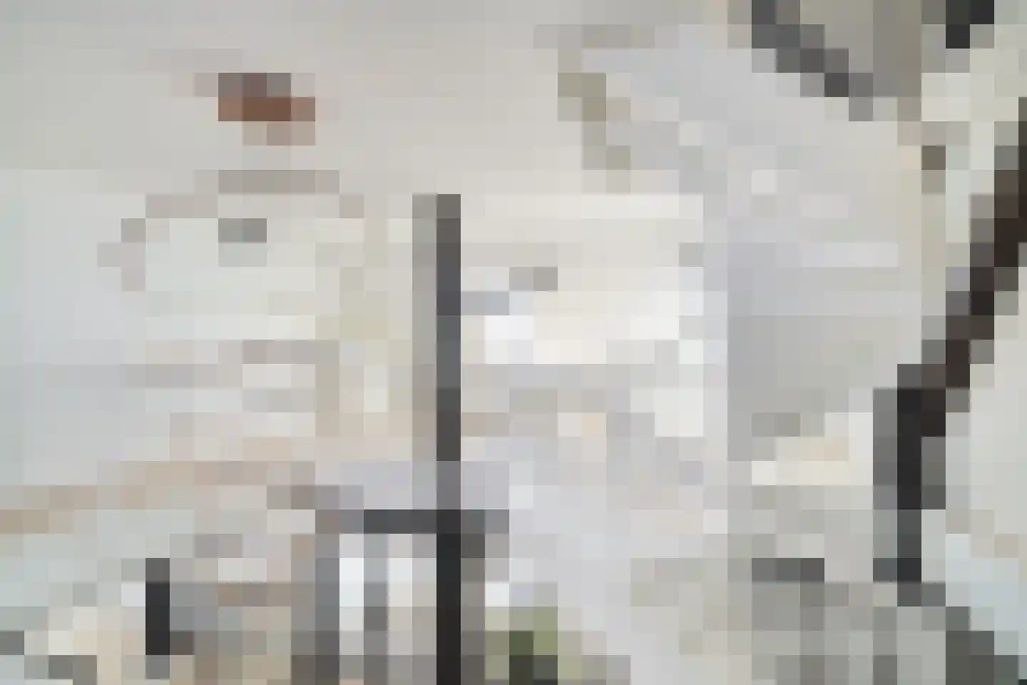 Den Ilp 1 Den Ilp thumbnail 67