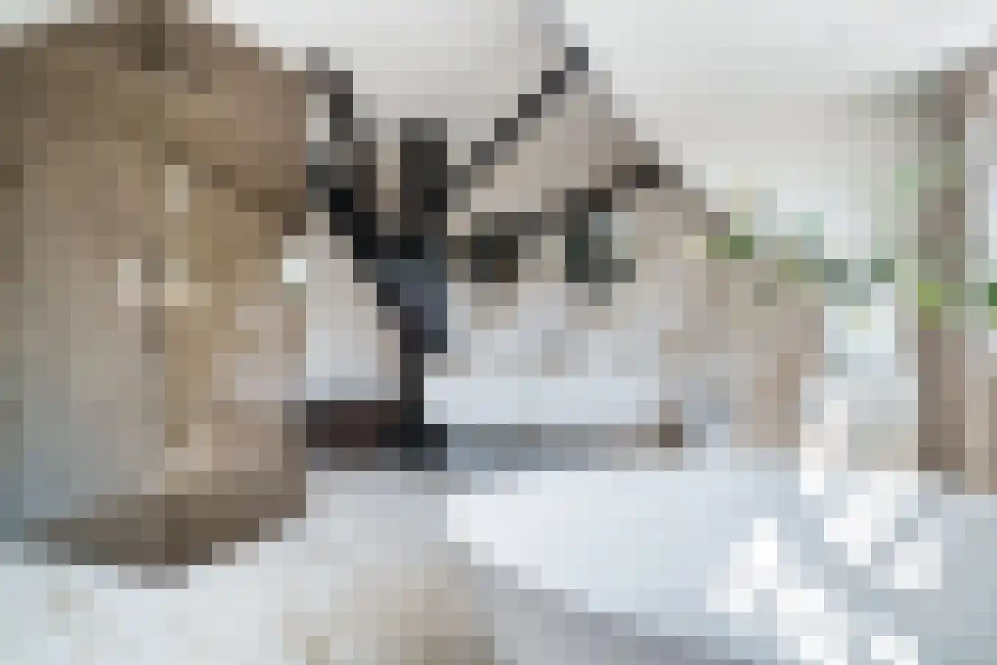 Den Ilp 1 Den Ilp thumbnail 70