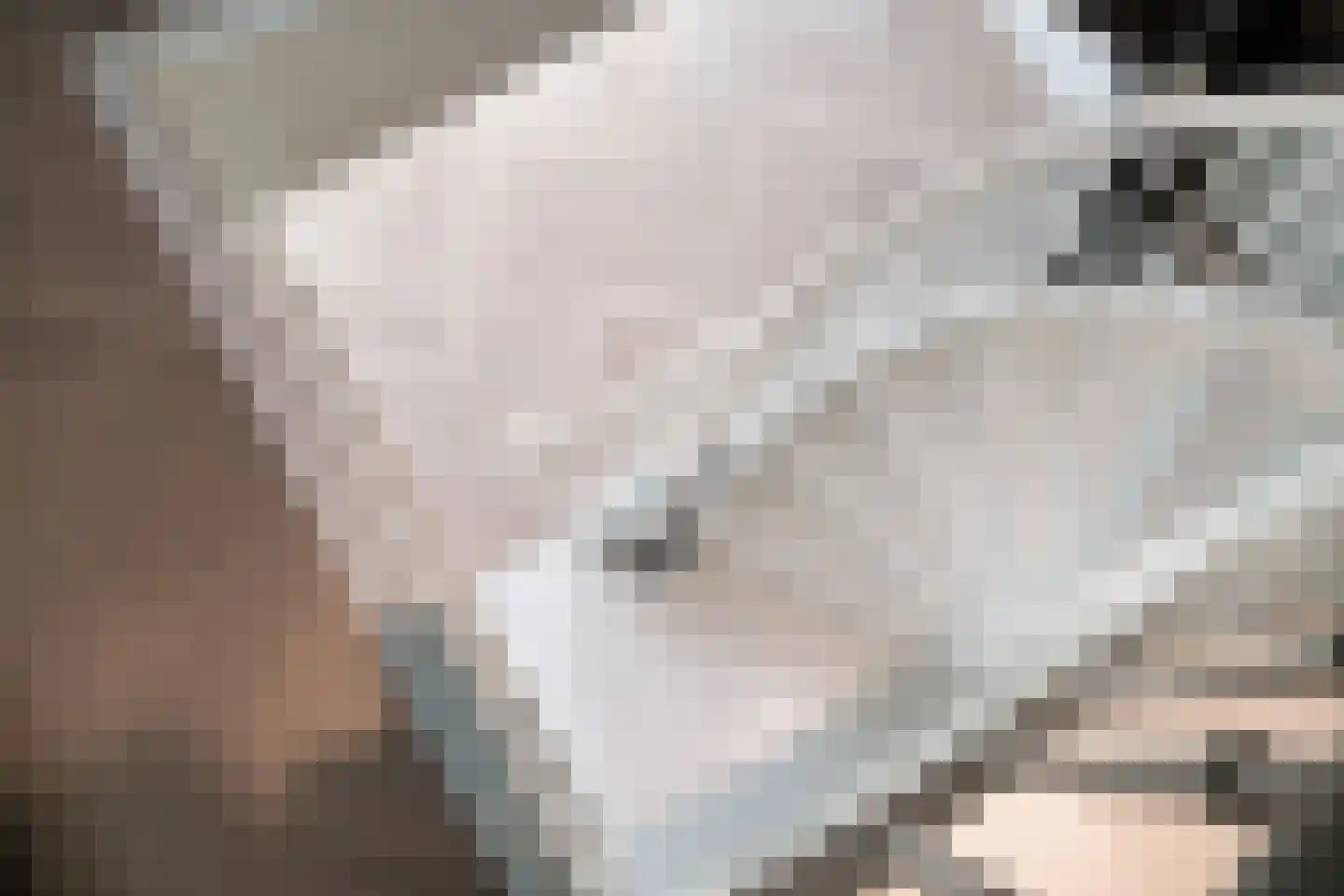 Den Ilp 1 Den Ilp thumbnail 75