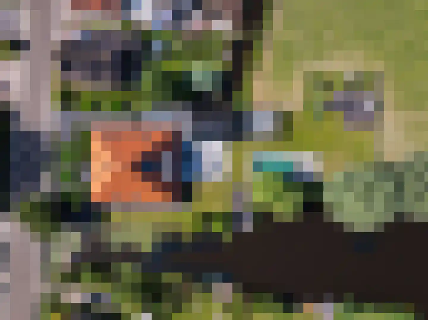 Den Ilp 1 Den Ilp thumbnail 8