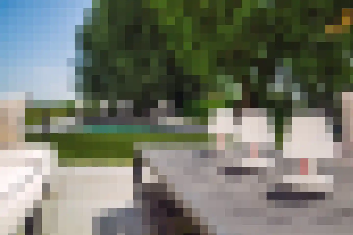 Den Ilp 1 Den Ilp thumbnail 88